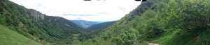 DSC 0728